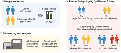 The gut microbiome in bullous pemphigoid: implications of the gut-skin axis for disease susceptibility